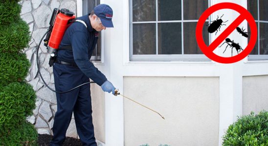 Dörtdivan Dezenfeksiyon böcek ilaçlama ve haşere kontrolü — ilaclama-tr.com